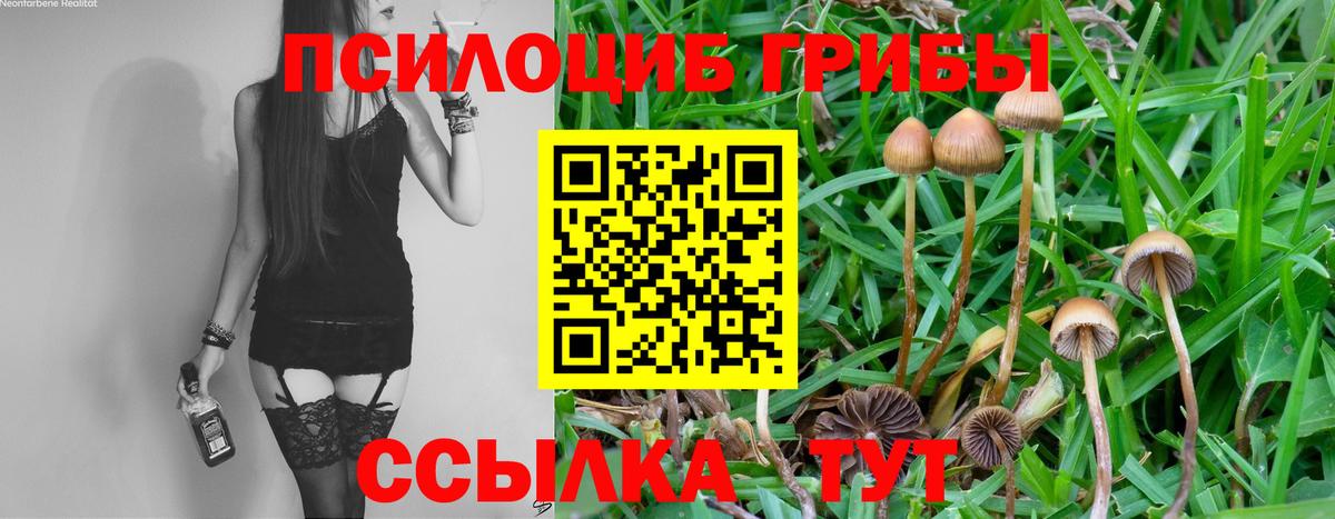 Юрга  Галлюциногенные грибы MAGIC MUSHROOMS  Галлюциногенные грибы мицелий  Вход с VPN 