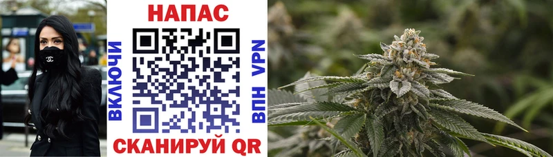 Шишки марихуана Bruce Banner купить наркотики цена Юрга